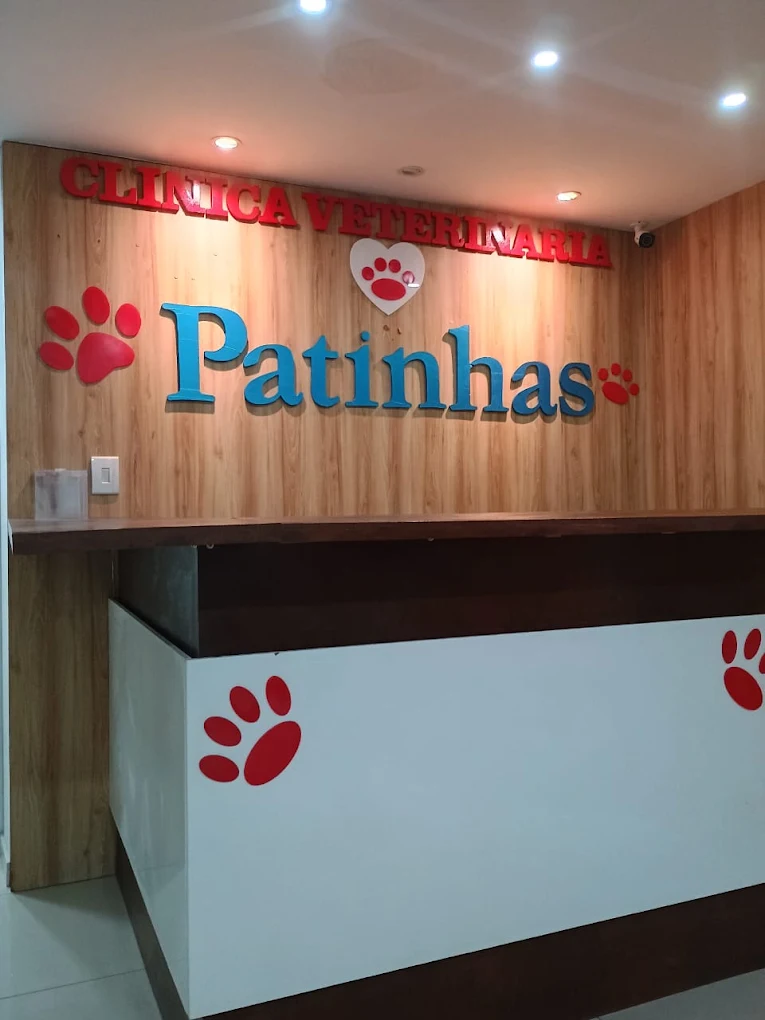 Recepção acolhedora da Clínica Veterinária Patinhas